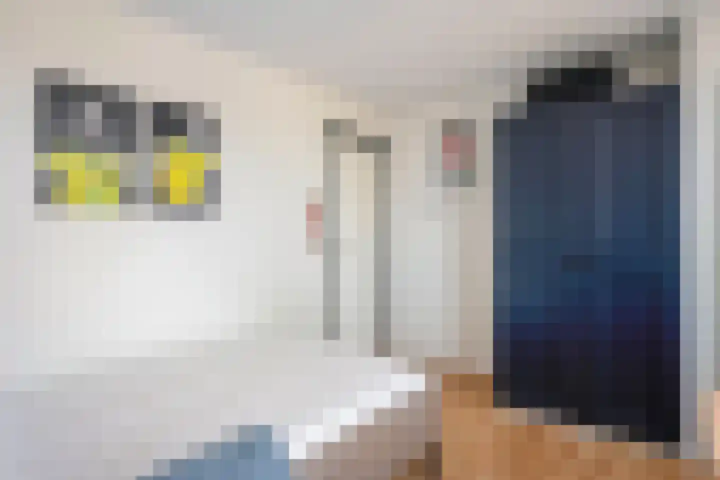 Tuinstraat 3 Born thumbnail 23