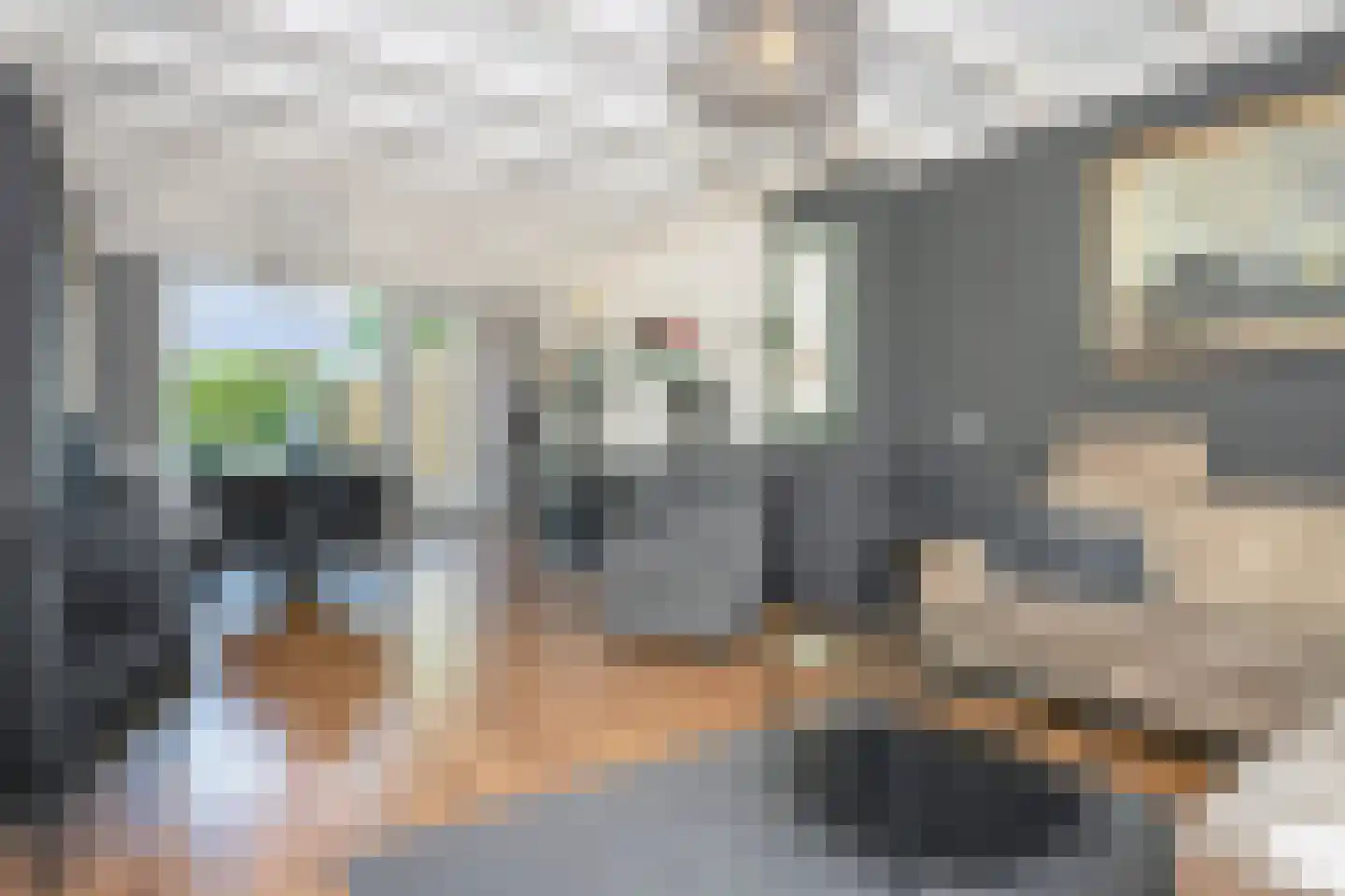 Tuinstraat 3 Born thumbnail 4