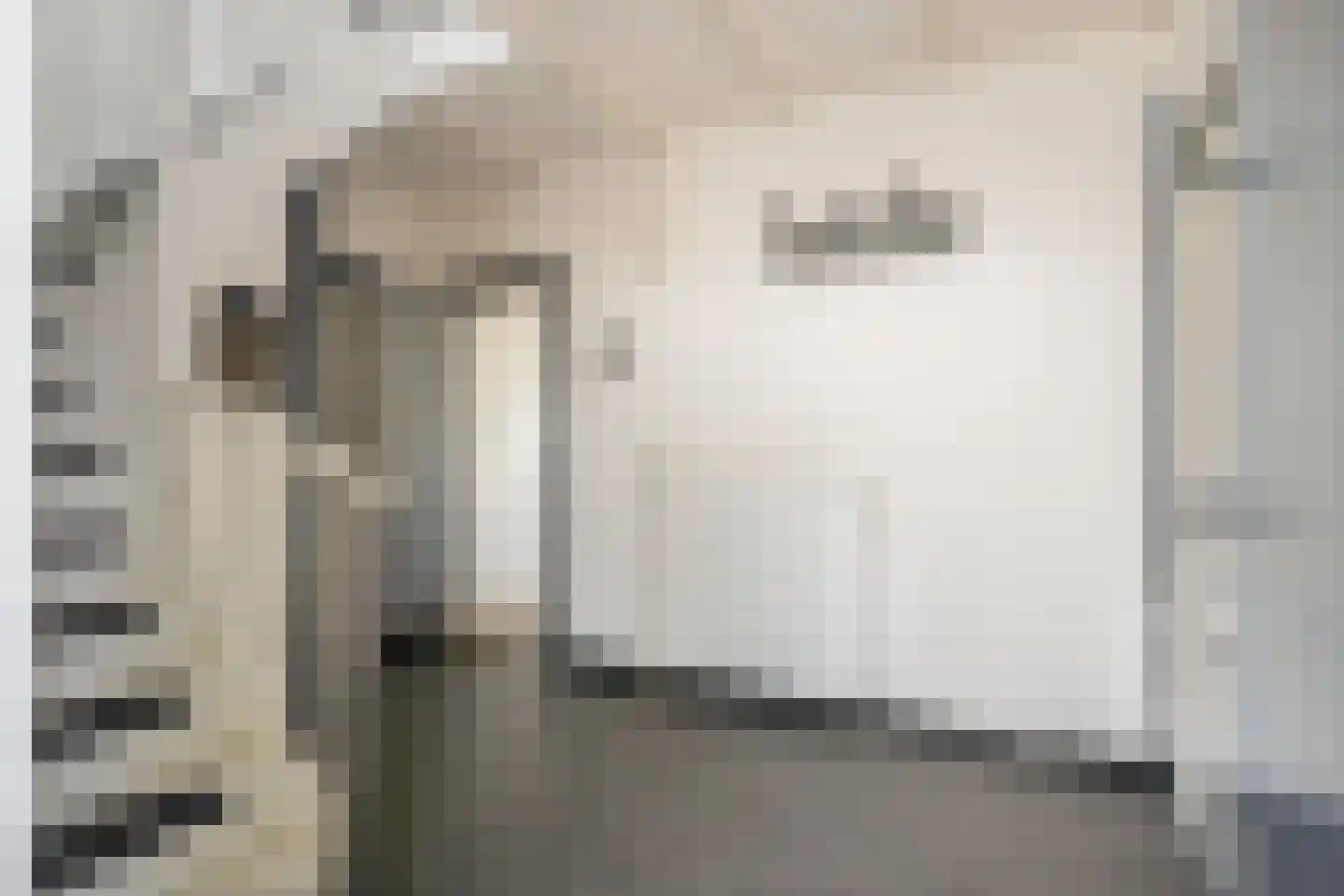 Tuinstraat 3 Born thumbnail 9