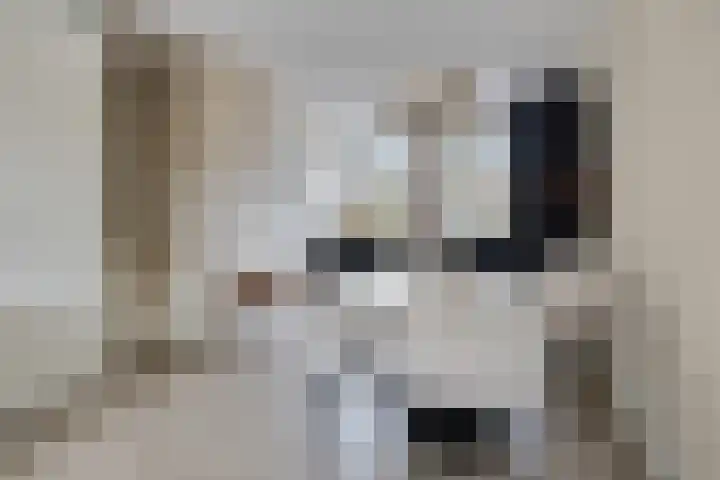 Tuinstraat 3 IJsselmuiden thumbnail 12