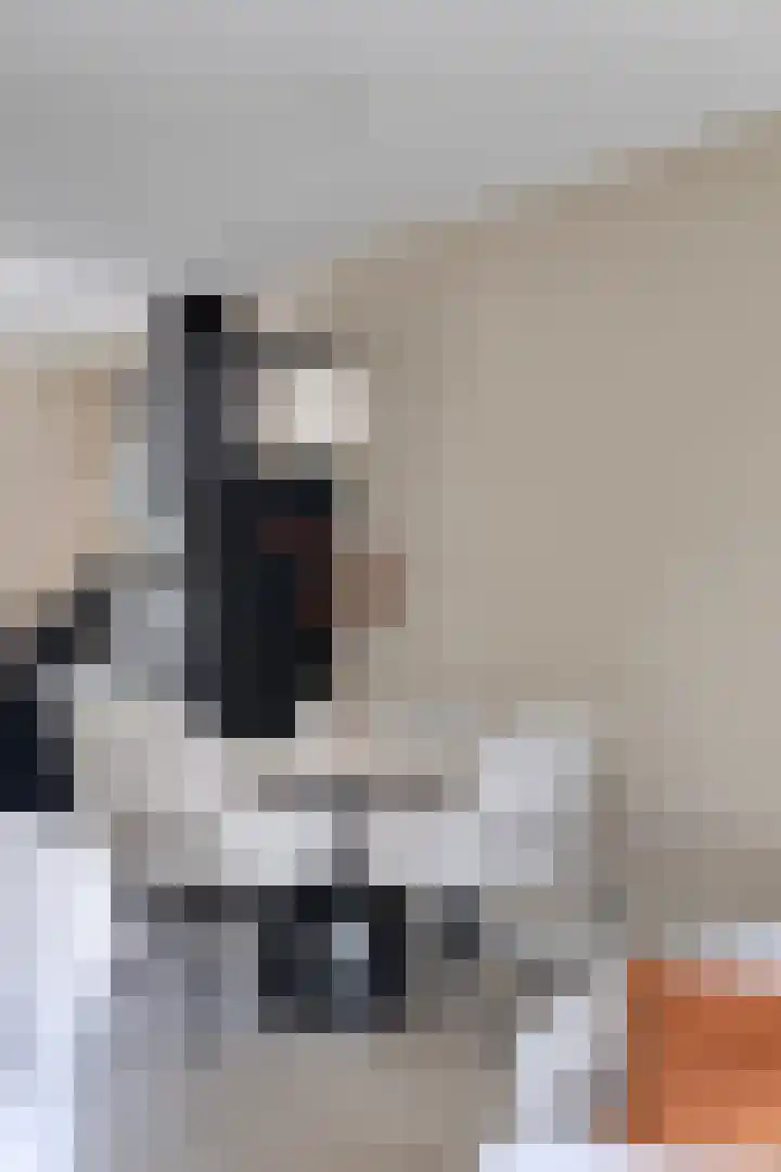 Tuinstraat 3 IJsselmuiden thumbnail 13