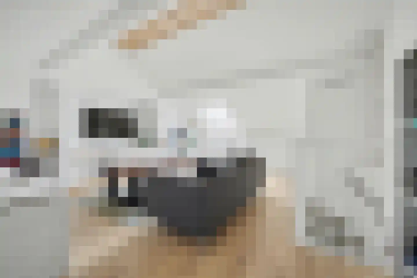 Tuinstraat 3 Nieuwerkerk thumbnail 25