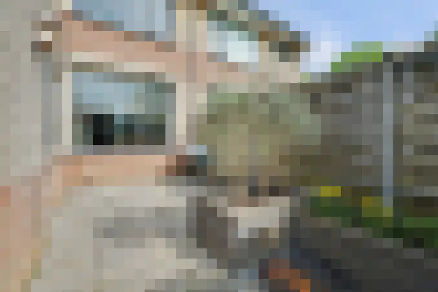 Tuinstraat 3 Nieuwerkerk thumbnail 29