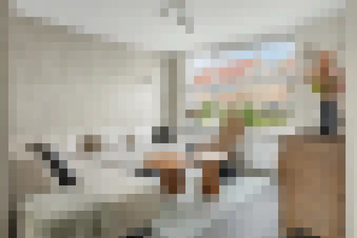 Tuinstraat 3 Nieuwerkerk thumbnail 4