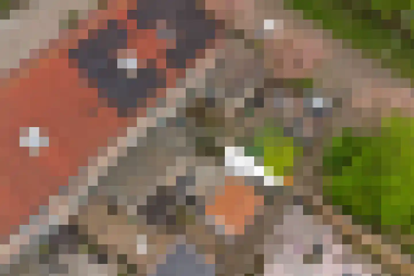 Tuinstraat 3 Nieuwerkerk thumbnail 41