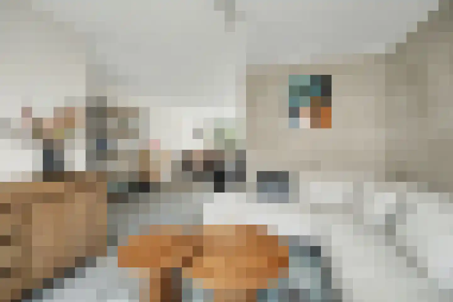 Tuinstraat 3 Nieuwerkerk thumbnail 5
