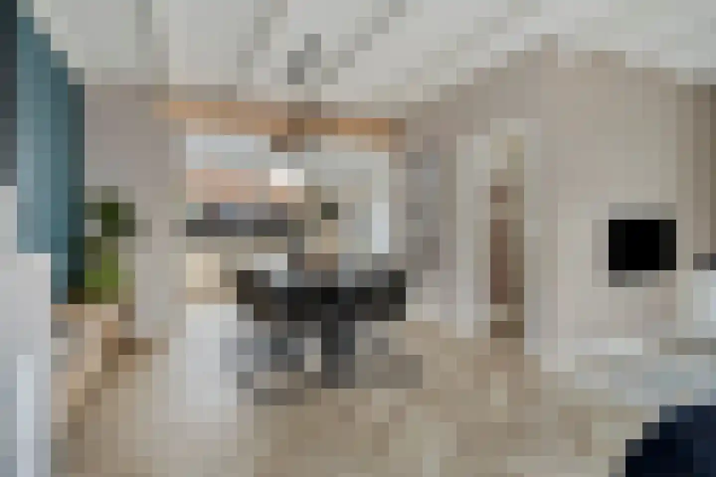 Tuinstraat 3 Sommelsdijk thumbnail 12