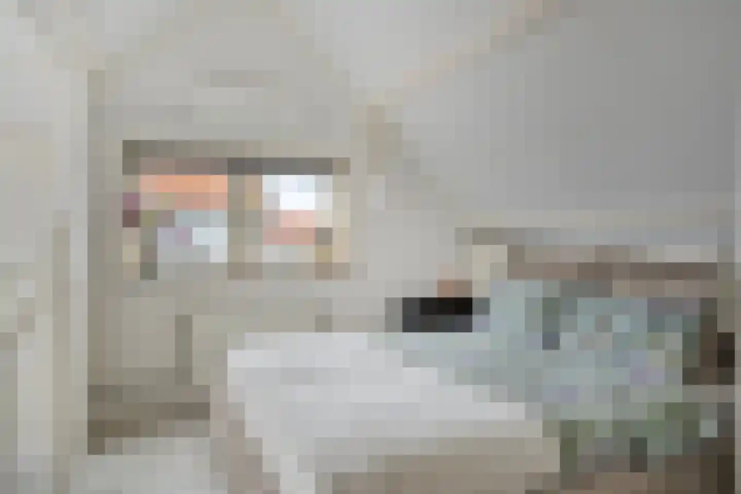 Tuinstraat 3 Sommelsdijk thumbnail 27
