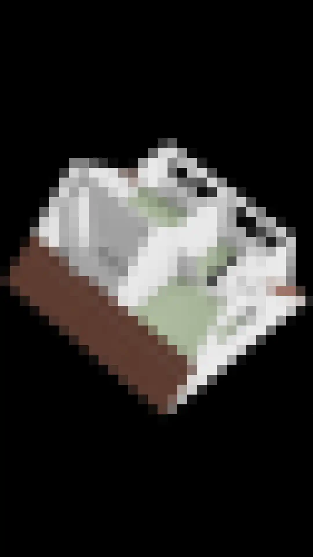 Tuinstraat 3 Sommelsdijk thumbnail 47