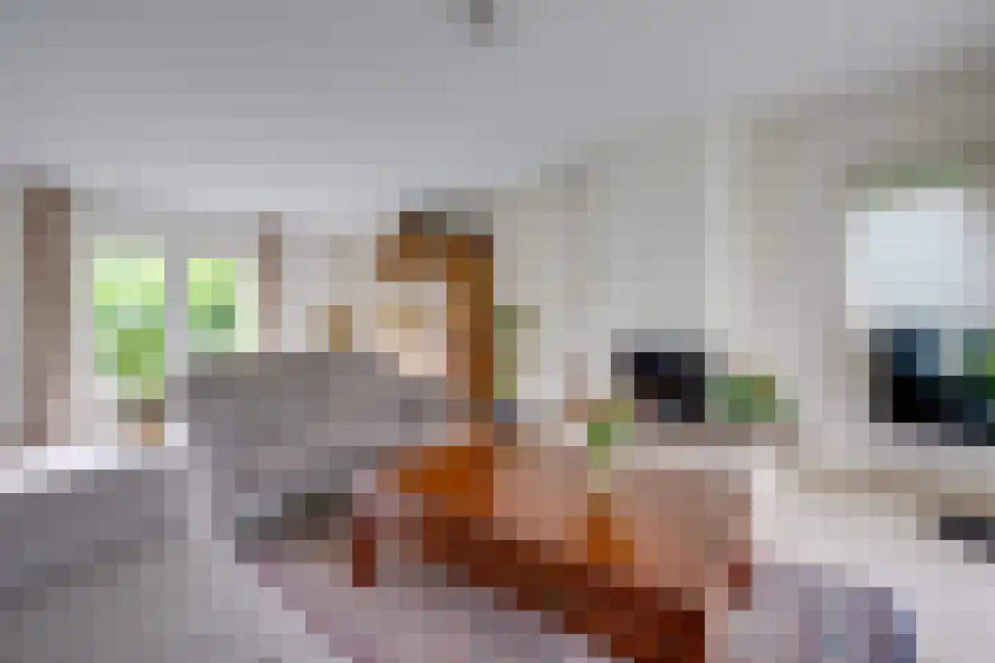 Tuinstraat 3 Udenhout thumbnail 15