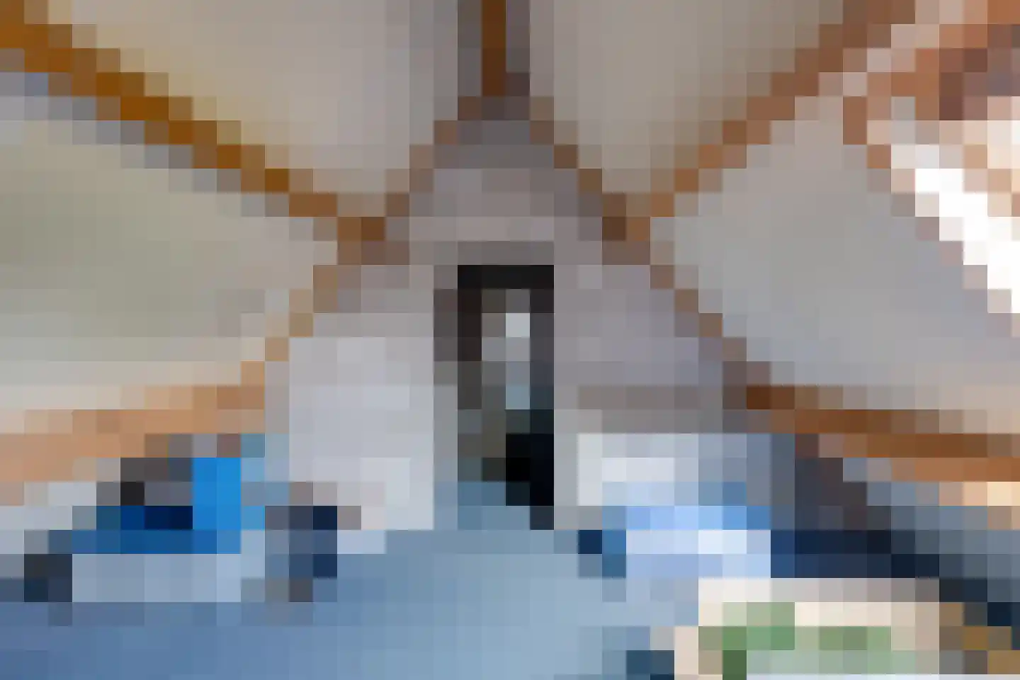 Tuinstraat 3 Udenhout thumbnail 38