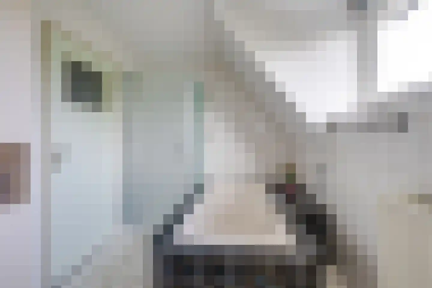 Tuinstraat 3 Udenhout thumbnail 4