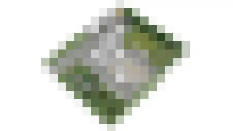 Tuinstraat 3 Udenhout thumbnail 58