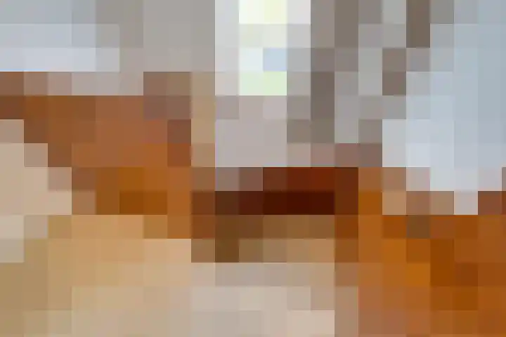 Tuinstraat 31 Udenhout thumbnail 17