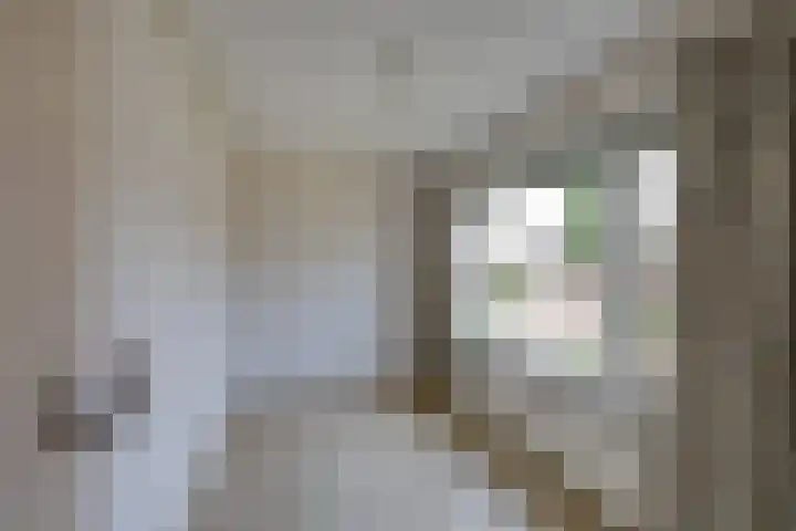 Tuinstraat 31 Udenhout thumbnail 19