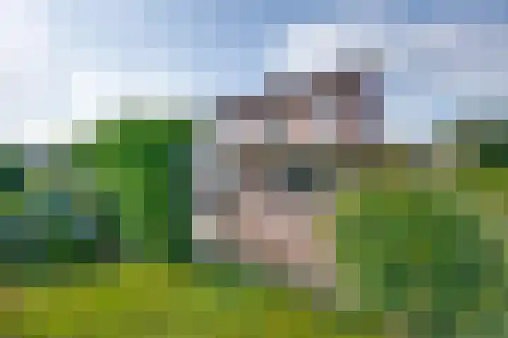 Tuinstraat 31 Udenhout thumbnail 30