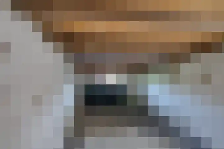 Tuinstraat 31 Udenhout thumbnail 32