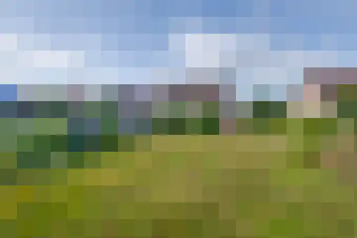 Tuinstraat 31 Udenhout thumbnail 34