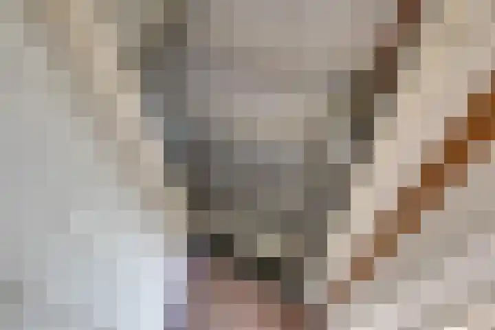 Tuinstraat 31 Udenhout thumbnail 7