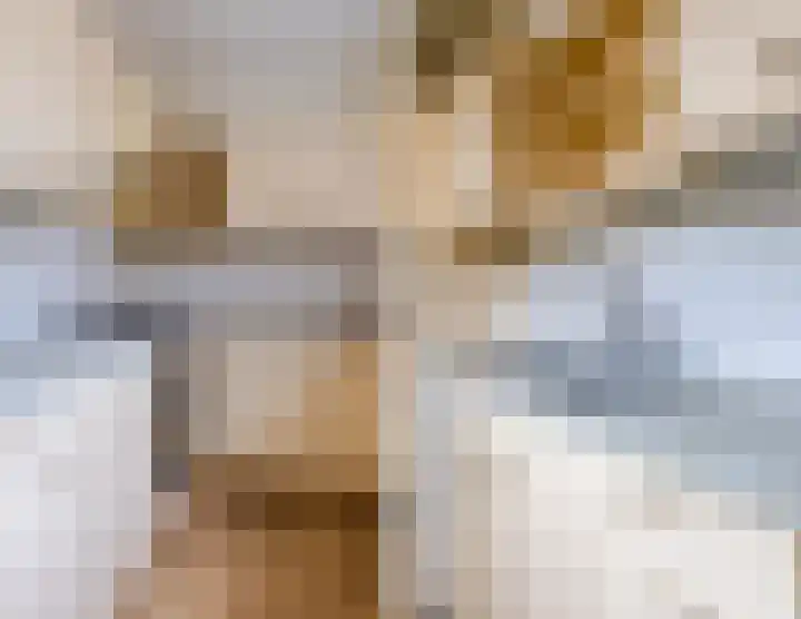 Tuinstraat 31 Zaandijk thumbnail 11