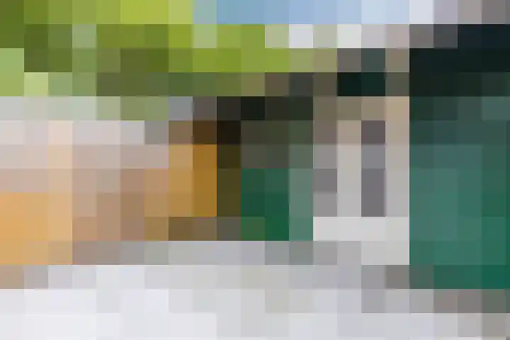 Tuinstraat 31 Zaandijk thumbnail 21