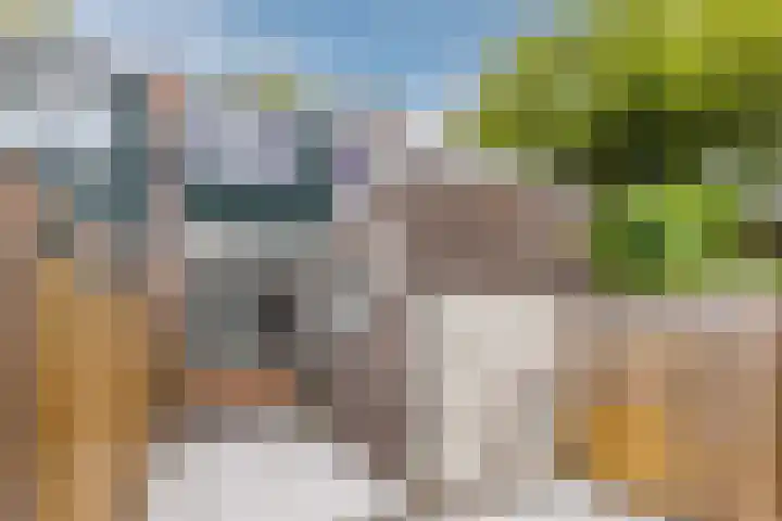 Tuinstraat 31 Zaandijk thumbnail 23