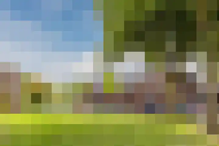 Tuinstraat 31 Zaandijk thumbnail 26