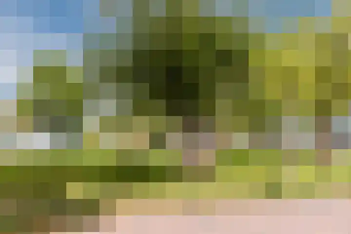 Tuinstraat 31 Zaandijk thumbnail 27