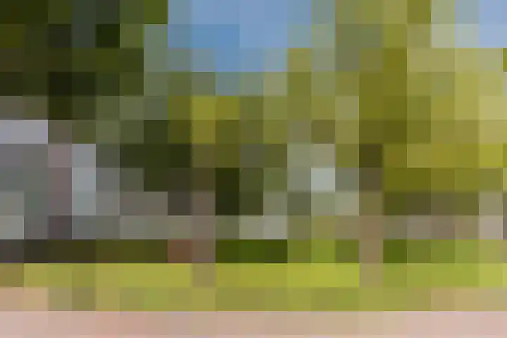 Tuinstraat 31 Zaandijk thumbnail 28