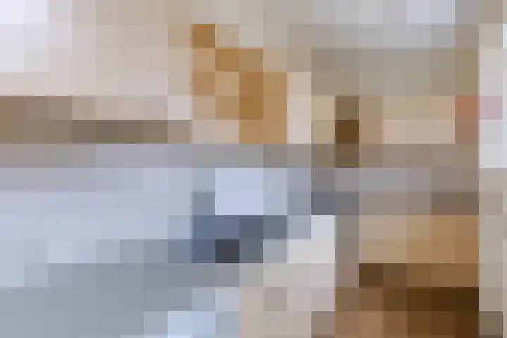 Tuinstraat 31 Zaandijk thumbnail 4