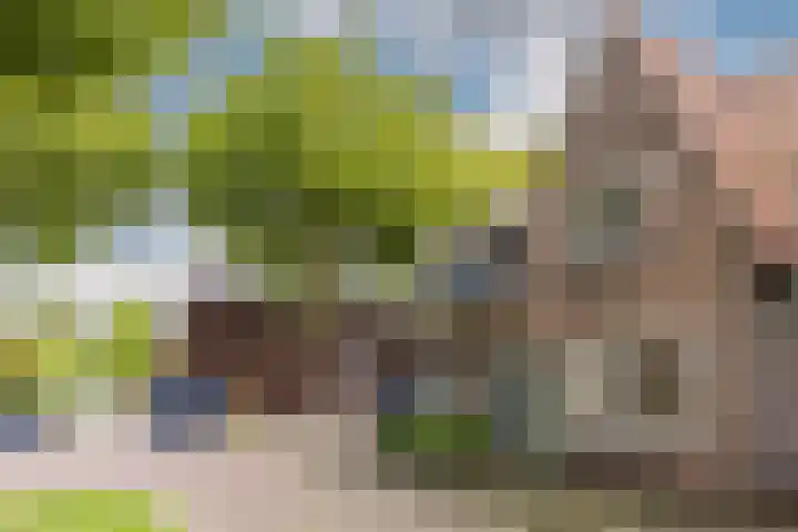 Tuinstraat 31 Zaandijk thumbnail 6