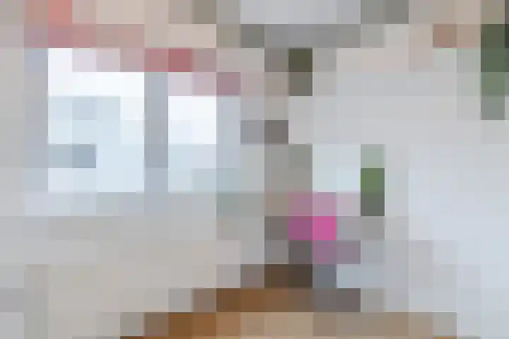Tuinstraat 33 Bodegraven thumbnail 19