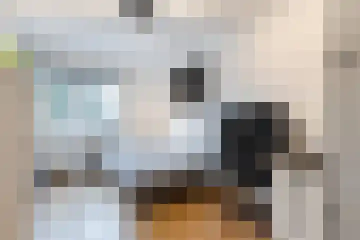 Tuinstraat 33 Bodegraven thumbnail 20