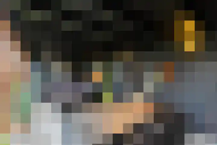 Tuinstraat 33 Bodegraven thumbnail 30
