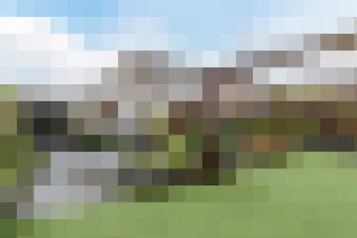 Tuinstraat 33 Bodegraven thumbnail 33