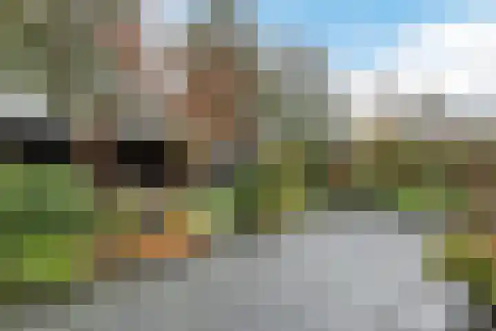 Tuinstraat 33 Bodegraven thumbnail 34