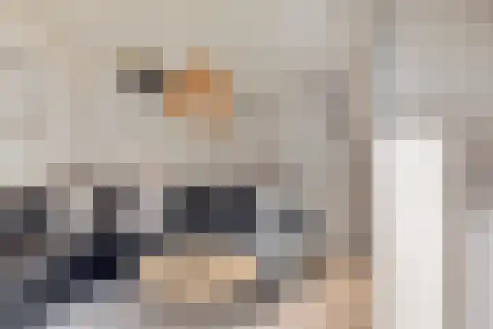 Tuinstraat 34 Alkmaar thumbnail 12