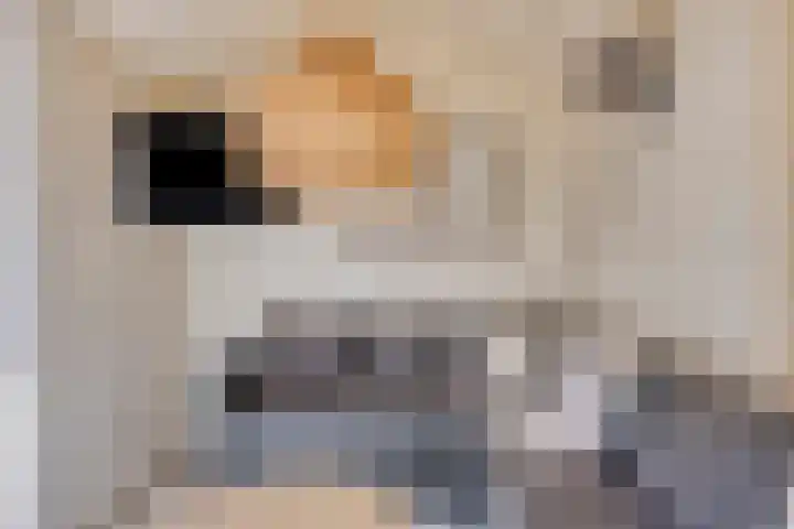 Tuinstraat 34 Alkmaar thumbnail 13