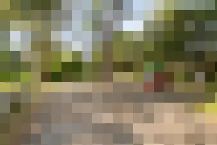 Tuinstraat 34 Alkmaar thumbnail 26