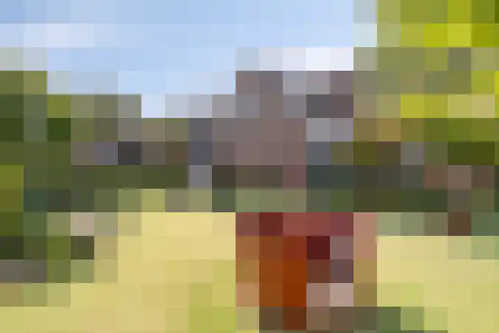 Tuinstraat 34 Alkmaar thumbnail 27
