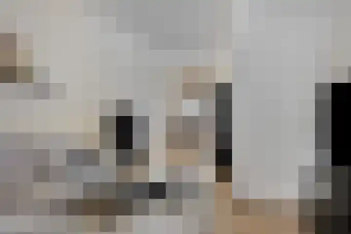 Tuinstraat 34 Alkmaar thumbnail 5