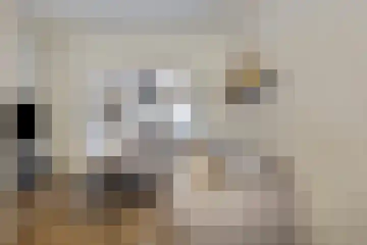 Tuinstraat 34 Alkmaar thumbnail 6