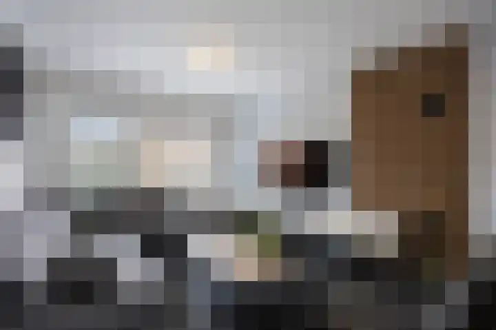 Tuinstraat 34 Echt thumbnail 12