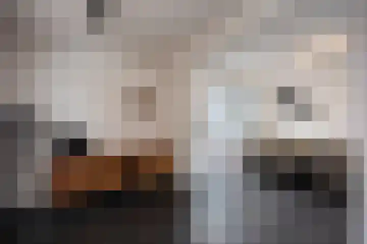 Tuinstraat 34 Echt thumbnail 14