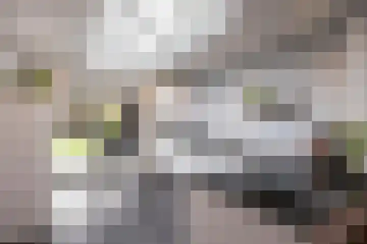 Tuinstraat 34 Echt thumbnail 20