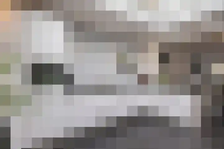 Tuinstraat 34 Echt thumbnail 23