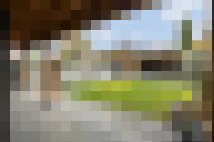 Tuinstraat 34 Echt thumbnail 42