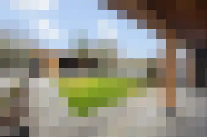 Tuinstraat 34 Echt thumbnail 43