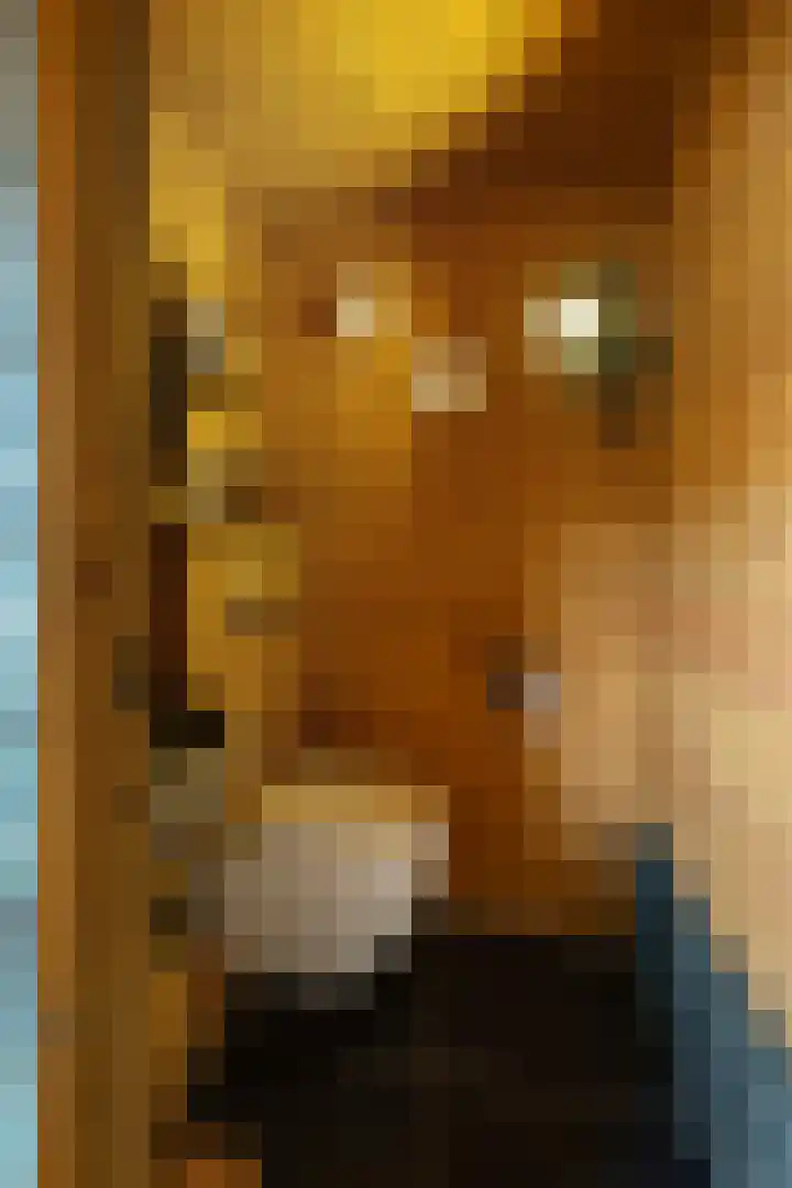 Tuinstraat 34 Echt thumbnail 52