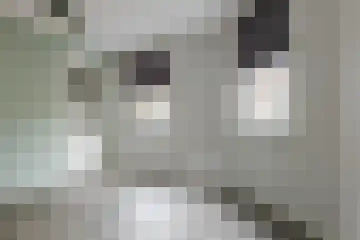 Tuinstraat 34 Zwolle thumbnail 14